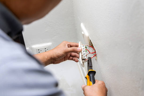 Best Electric Panel Repair  in Leander, TX